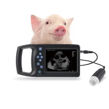 Ucuz Fiyat El Veteriner Taşınabilir Ultrason Makinesi Hayvan Gebelik Tarayıcı Ultrason Domuz Koyunları