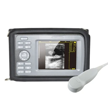 Taşınabilir Veteriner Ultrason Makinesi Dijital El Veteriner Ultrason tarayıcı makinesi İle 6.5 Mhz Mini Dışbükey Prob