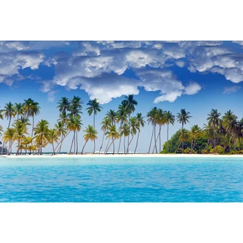 Yaz Tropikal Deniz Sahil Palmiye Ağacı Gökyüzü Bulut Manzara Doğa Zemin Vinil Fotoğraf Arka Plan Fotoğraf Stüdyosu İçin Photophone