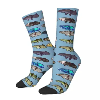 Komik Çılgın Çorap Erkekler için Morphs Renkler Hip Hop Harajuku Axolotl Sevgilisi Mutlu Dikişsiz Desen Baskılı Erkek Ekip Çorap Rahat Hediye